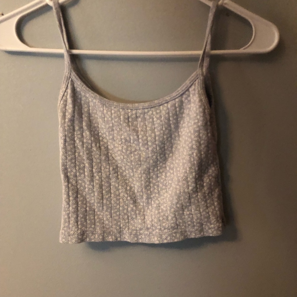 blue crop top from Brandy Melville